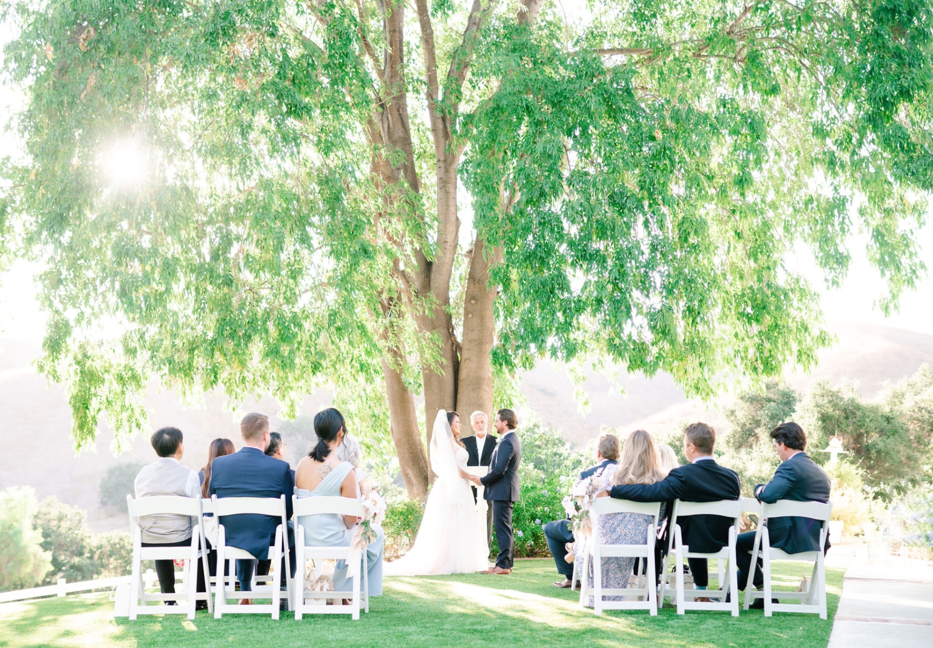 Outdoor wedding ceremony beneath a tree